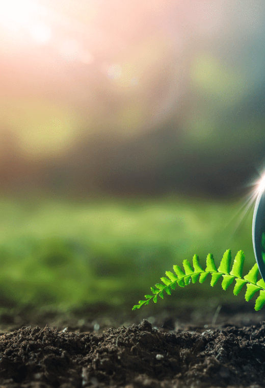 A green glass-like planet earth on a bight grass field